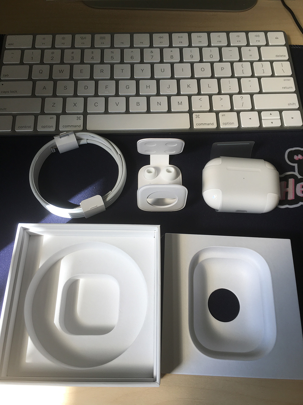 AirPods Pro 配件全家福